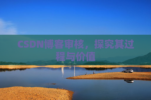 CSDN博客审核,探究其过程与价值